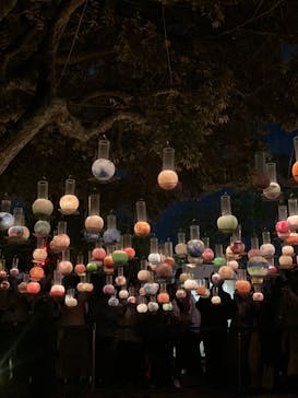 江の島シーキャンドルに投稿された画像（2022/11/6）