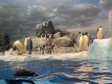 名古屋港水族館に投稿された画像（2022/11/6）