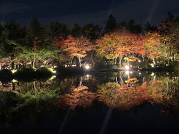 国営昭和記念公園 秋の夜散歩に投稿された画像（2022/11/6）