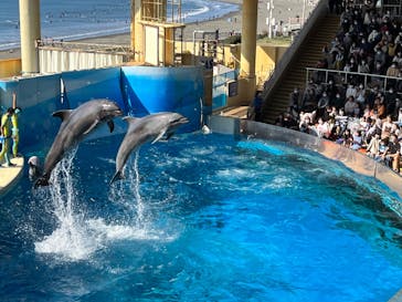 新江ノ島水族館に投稿された画像（2022/11/6）