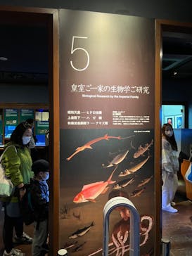 新江ノ島水族館に投稿された画像（2022/11/6）