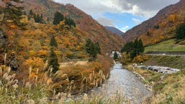 清津峡渓谷トンネルに投稿された画像（2022/11/6）