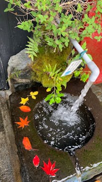 清津峡渓谷トンネルに投稿された画像（2022/11/6）