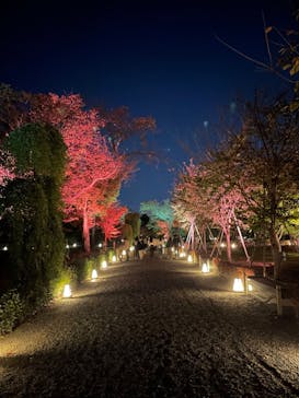 NAKED FLOWERS 2022 秋 世界遺産・二条城に投稿された画像（2022/11/6）