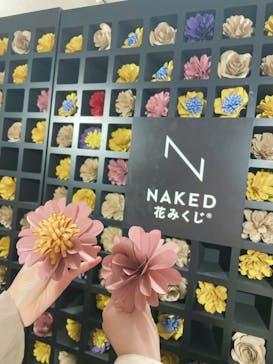 NAKED FLOWERS 2022 秋 世界遺産・二条城に投稿された画像（2022/11/6）
