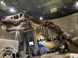 国立科学博物館に投稿された画像（2022/11/6）