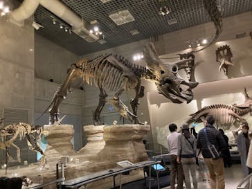 国立科学博物館に投稿された画像（2022/11/6）