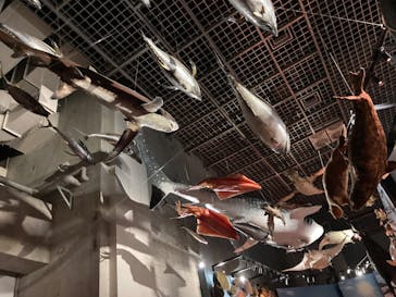 国立科学博物館に投稿された画像（2022/11/6）