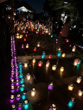 江の島シーキャンドルに投稿された画像（2022/11/6）