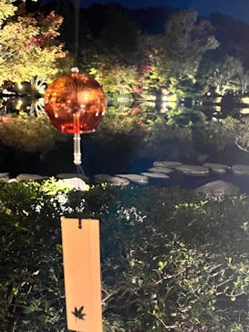 国営昭和記念公園 秋の夜散歩に投稿された画像（2022/11/6）