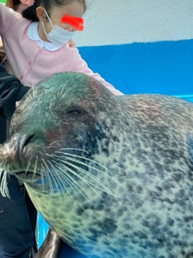 ゼロ距離水族館 伊勢シーパラダイスに投稿された画像（2022/11/6）