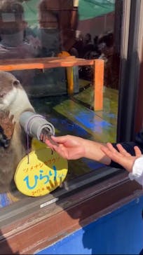 ゼロ距離水族館 伊勢シーパラダイスに投稿された画像（2022/11/6）
