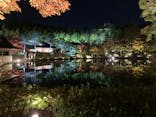 国営昭和記念公園 秋の夜散歩に投稿された画像（2022/11/6）