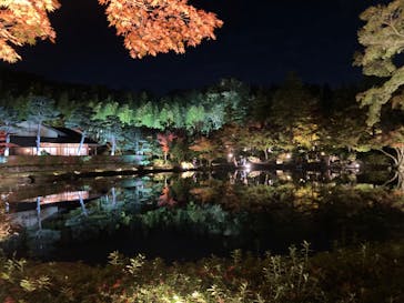 国営昭和記念公園 秋の夜散歩に投稿された画像（2022/11/6）