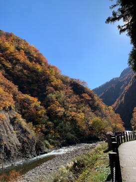 清津峡渓谷トンネルに投稿された画像（2022/11/6）