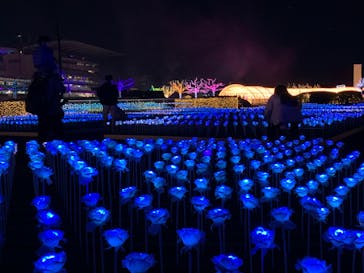 東京メガイルミに投稿された画像（2022/11/6）