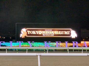 東京メガイルミに投稿された画像（2022/11/6）