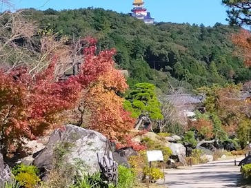 伊勢忍者キングダムに投稿された画像（2022/11/6）
