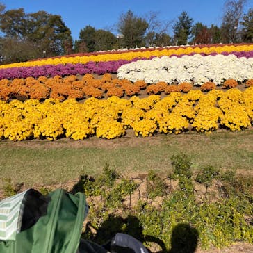 東武動物公園に投稿された画像（2022/11/6）