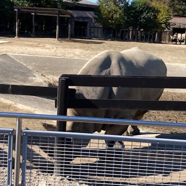 東武動物公園に投稿された画像（2022/11/6）