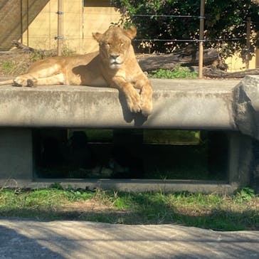 東武動物公園に投稿された画像（2022/11/6）