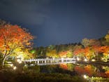 国営昭和記念公園 秋の夜散歩に投稿された画像（2022/11/6）
