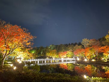 国営昭和記念公園 秋の夜散歩に投稿された画像（2022/11/6）