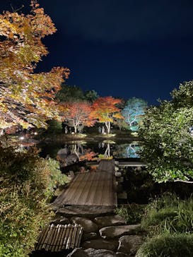 国営昭和記念公園 秋の夜散歩に投稿された画像（2022/11/6）