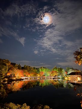 国営昭和記念公園 秋の夜散歩に投稿された画像（2022/11/6）