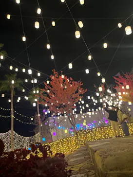 ひらかたパークに投稿された画像（2022/11/6）