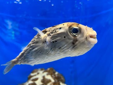 城崎マリンワールドに投稿された画像（2022/11/6）