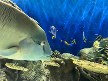 城崎マリンワールドに投稿された画像（2022/11/6）