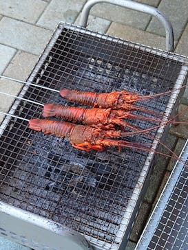 志摩市浜島磯体験施設 海ほおずきに投稿された画像（2022/11/6）