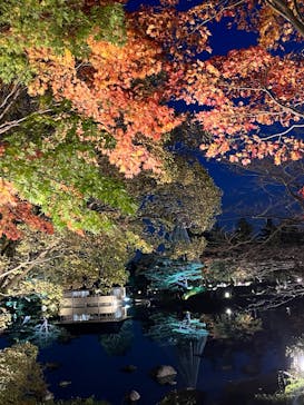 国営昭和記念公園 秋の夜散歩に投稿された画像（2022/11/6）