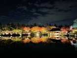 国営昭和記念公園 秋の夜散歩に投稿された画像（2022/11/7）