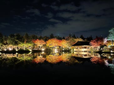 国営昭和記念公園 秋の夜散歩に投稿された画像（2022/11/6）