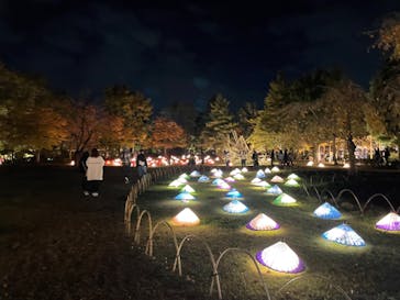 国営昭和記念公園 秋の夜散歩に投稿された画像（2022/11/6）