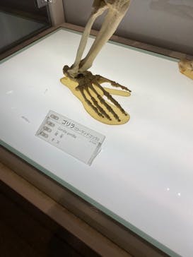 国立科学博物館に投稿された画像（2022/11/6）