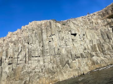 東尋坊観光遊覧船株式会社に投稿された画像（2022/11/6）