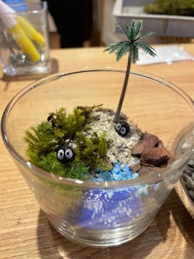 伊勢夫婦岩めおと横丁　めおと岩アクティビティに投稿された画像（2022/11/6）