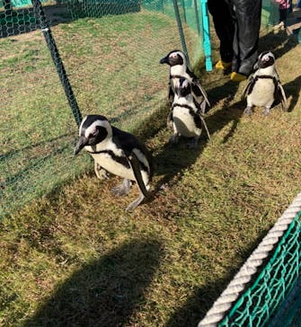 名古屋港水族館に投稿された画像（2022/11/6）