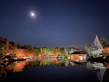 国営昭和記念公園 秋の夜散歩に投稿された画像（2022/11/6）