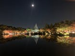 国営昭和記念公園 秋の夜散歩に投稿された画像（2022/11/7）
