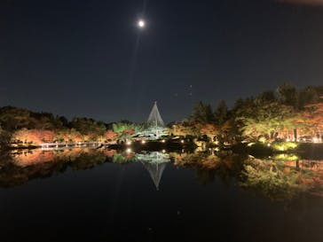 国営昭和記念公園 秋の夜散歩に投稿された画像（2022/11/6）