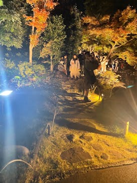 国営昭和記念公園 秋の夜散歩に投稿された画像（2022/11/6）