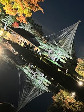 国営昭和記念公園 秋の夜散歩に投稿された画像（2022/11/6）