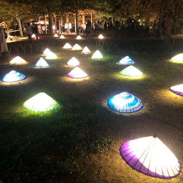 国営昭和記念公園 秋の夜散歩に投稿された画像（2022/11/6）