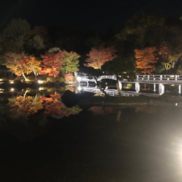 国営昭和記念公園 秋の夜散歩に投稿された画像（2022/11/6）