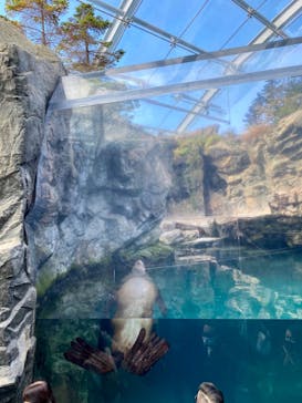 環境水族館アクアマリンふくしまに投稿された画像（2022/11/6）