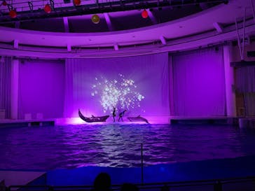 アクアワールド茨城県大洗水族館に投稿された画像（2022/11/6）